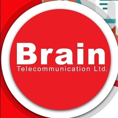 Brain Telecommunication Limited, Pakistan jobs - logo