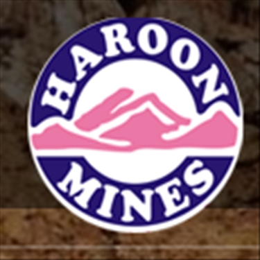 Haroon Mines (Pvt) Limited  jobs - logo