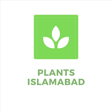  Plants Islamabad jobs - logo