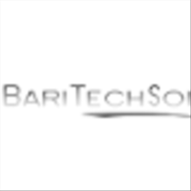BariTechSol jobs - logo
