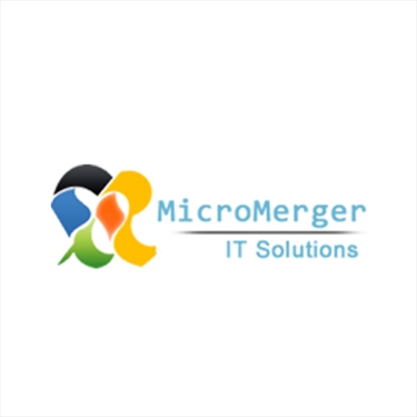 MicroMerger Private Limited jobs - logo