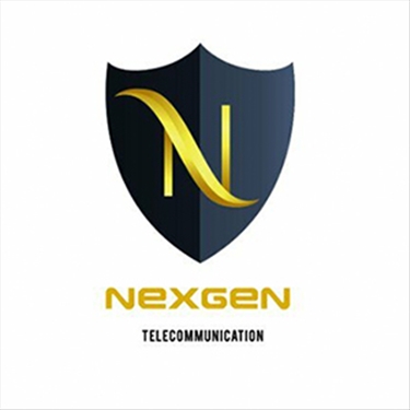 Nexgen Telecommunication Pvt Ltd jobs - logo