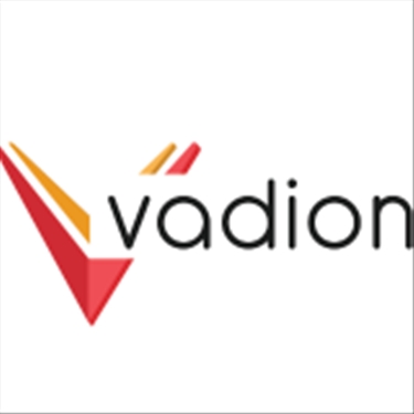 Vadion jobs - logo
